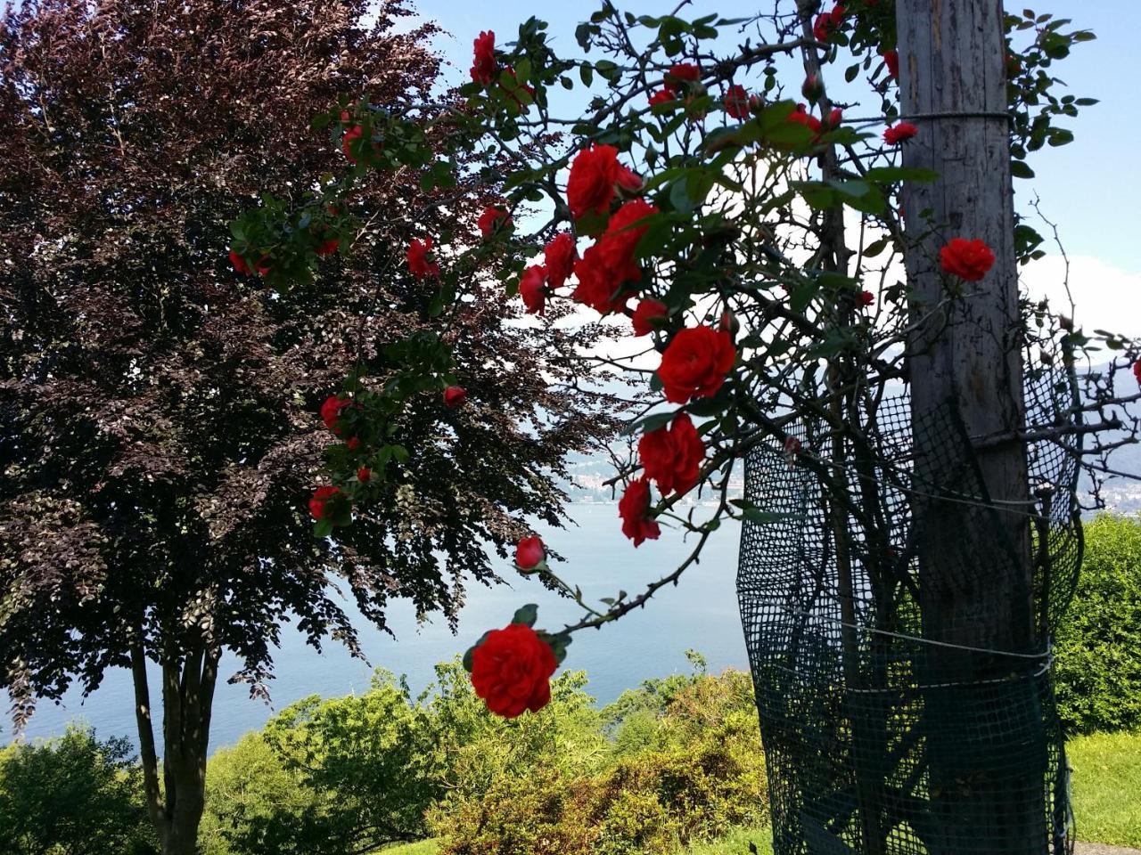 Locanda Pozzetto Laveno-Mombello Exteriér fotografie